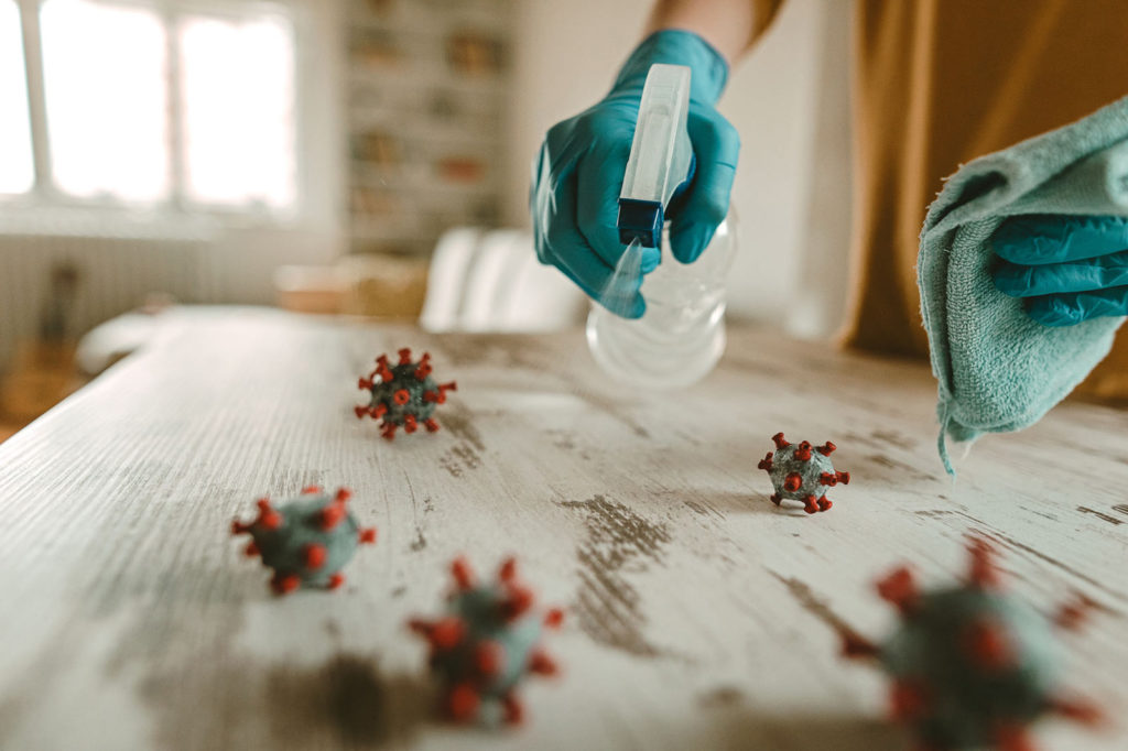 Servicii profesionale de deratizare dezinsectie dezinfectie Bucuresti Covid-19