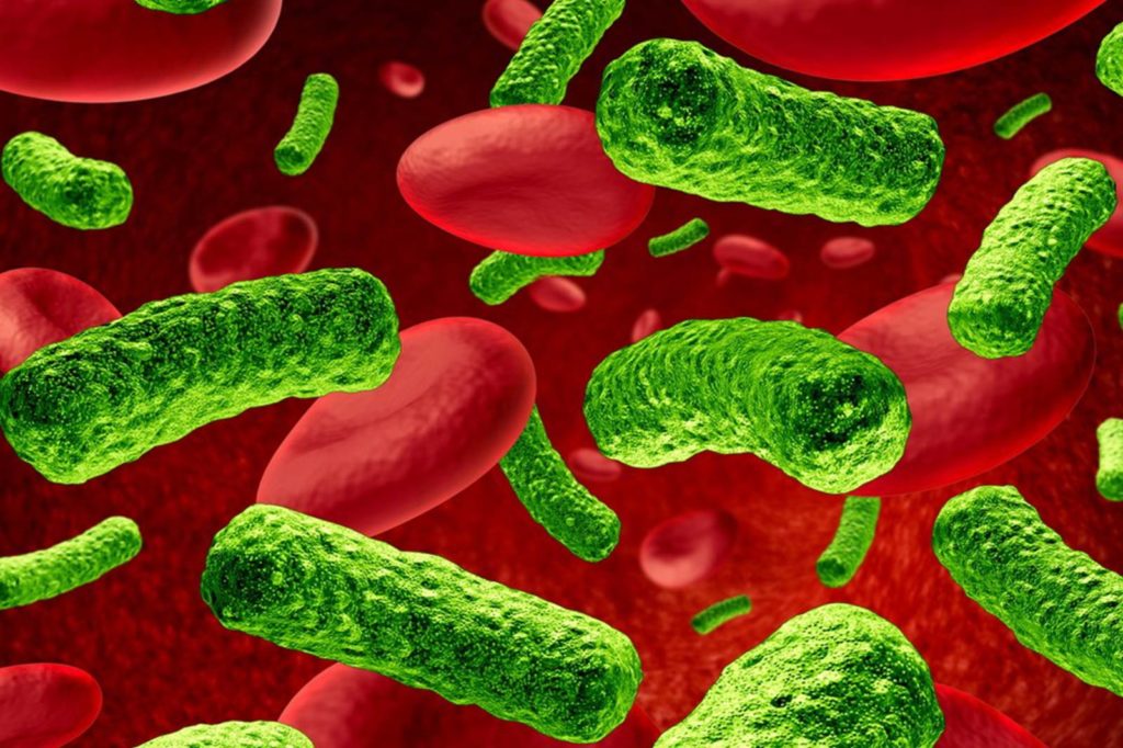 Servicii profesionale de deratizare dezinsectie dezinfectie Bucuresti Covid-19